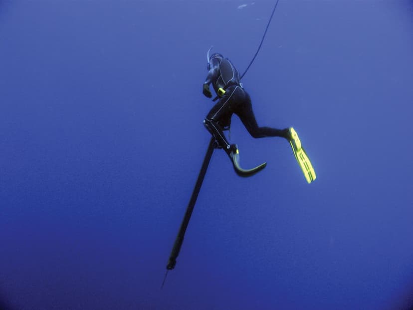 Spear Fishing