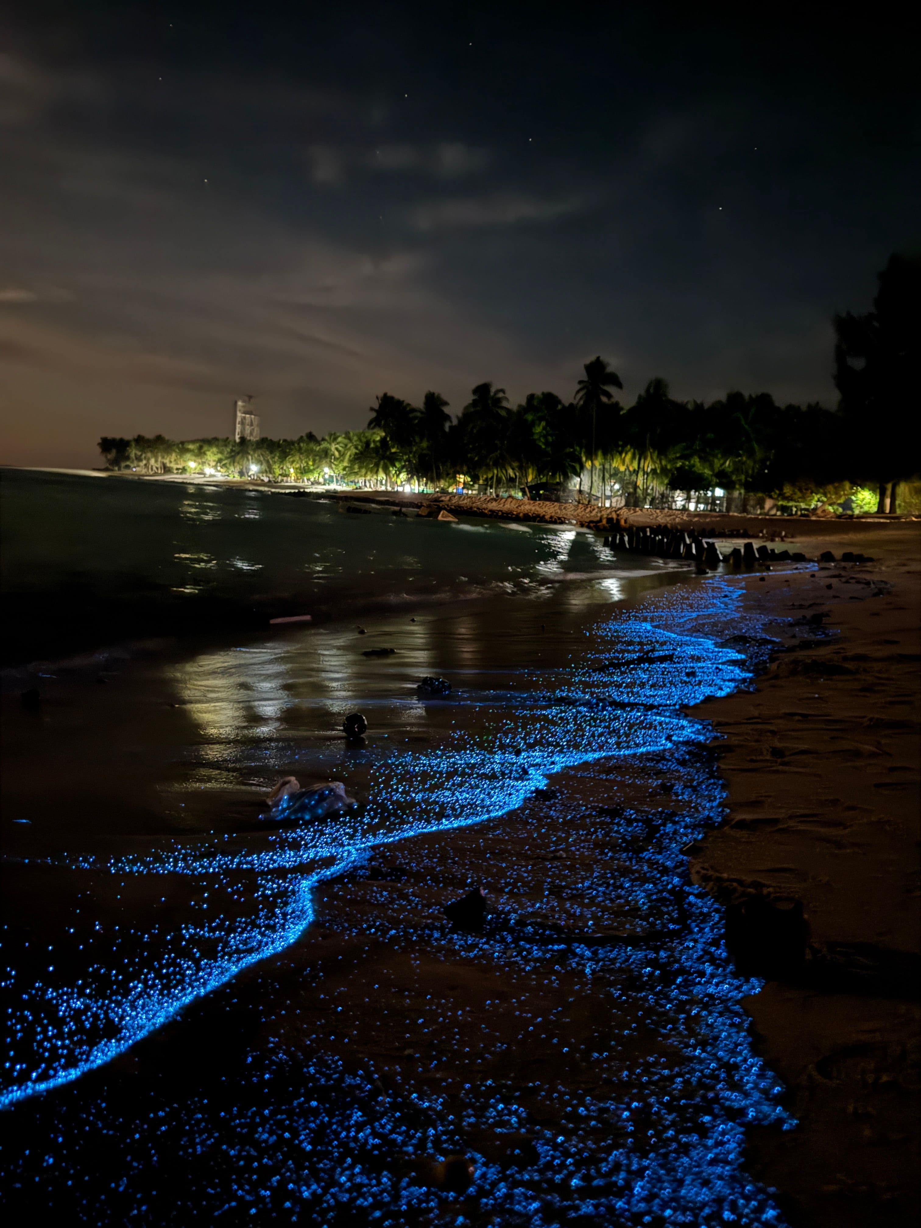 Shore House photo 10